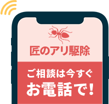 ご相談は今すぐお電話で