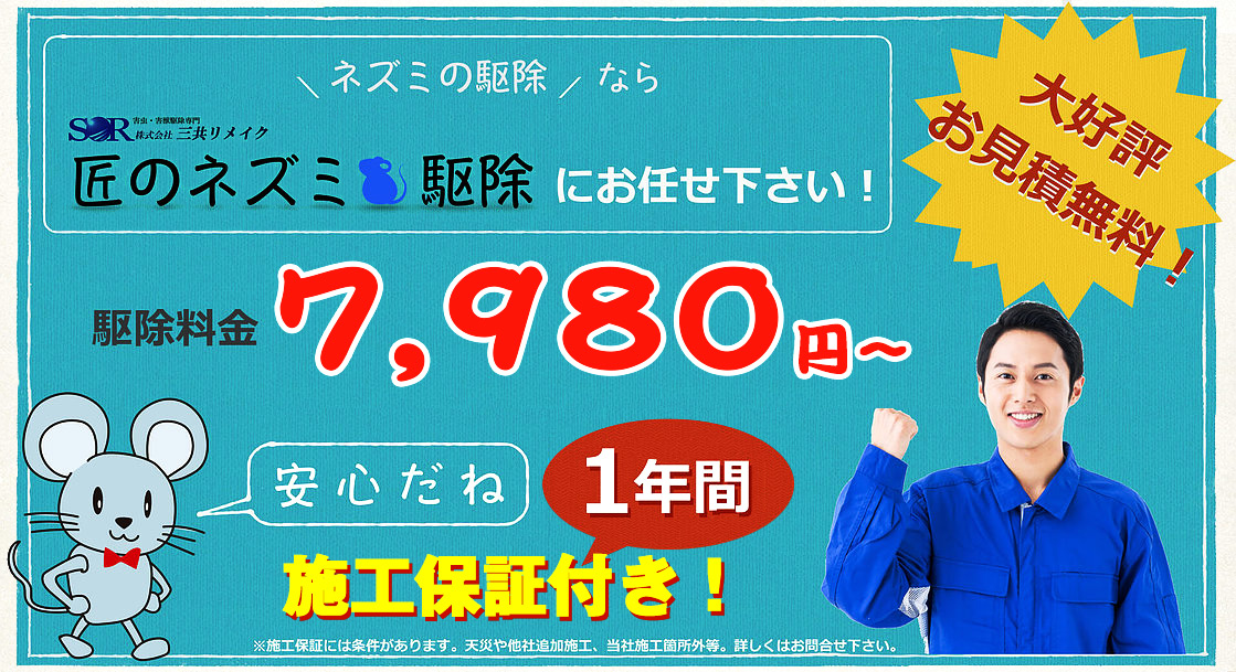 ネズミの駆除なら匠のネズミ駆除にお任せ下さい。駆除料金9,800円～施工保証付き！※施工保証には条件があります。天災や他社追加施工、当社施工箇所外等。詳しくはお問合せ下さい。