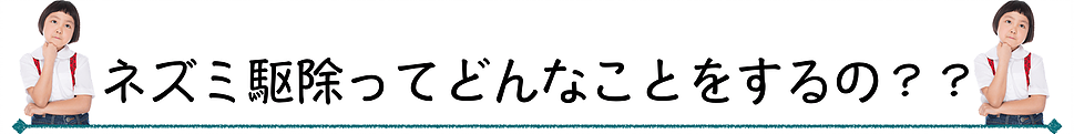 ネズミ駆除ってどんなことをするの？？