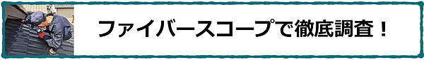 ファイバースコープで徹底調査！