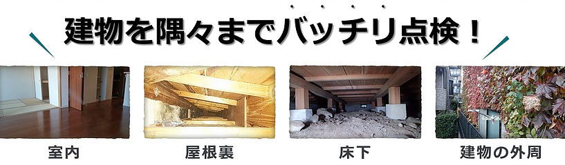 建物を隅々までバッチリ点検！（室内・屋根裏・床下・建物の外周）