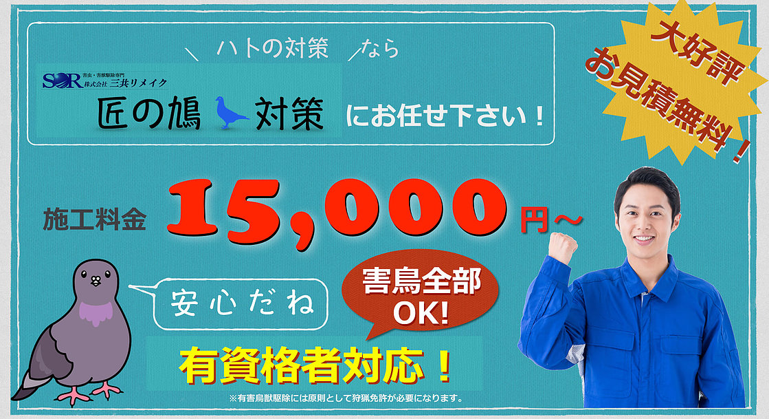 ハトの対策なら匠のハト駆除にお任せ下さい。施工料金15,000円～　害鳥全部OK！有資格者対応。※有害鳥獣駆除には原則として狩猟免許が必要になります。お見積無料