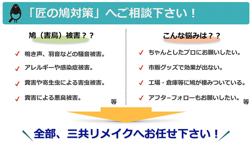 「匠の鳩対策」へごご相談ください！