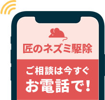 ご相談は今すぐお電話で