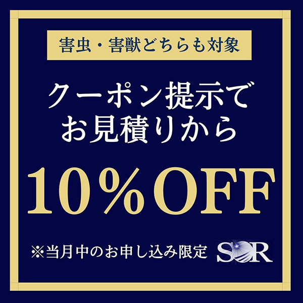害虫・害獣どちらも対象クーポン提示でお見積りから10％OFF 当月中のお申し込み限定
