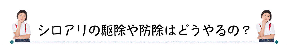 シロアリの駆除や防除はどうやるの？