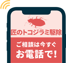 ご相談は今すぐお電話で
